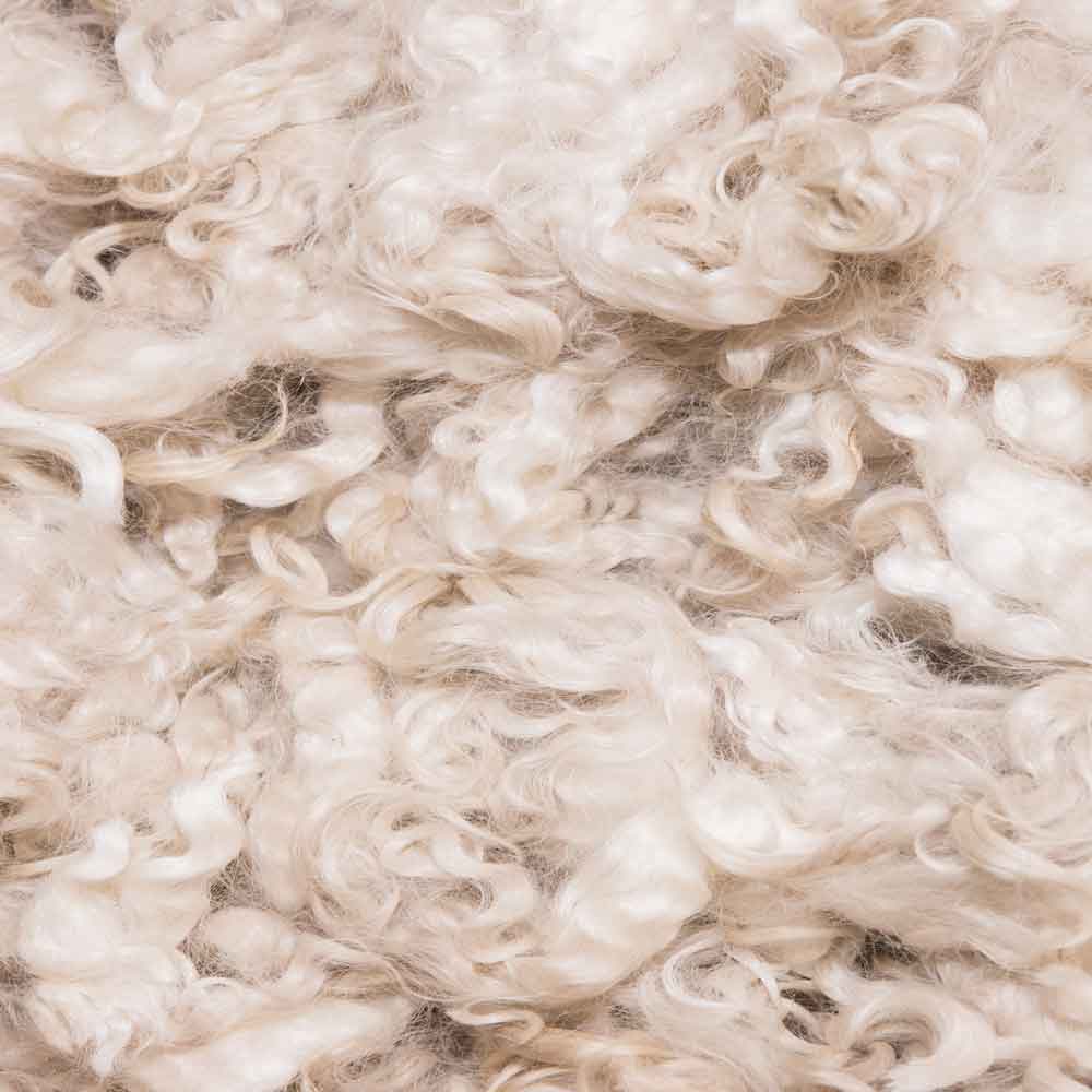Sustainability Matetials Wool good fashion guide ECOLOOKBOOK
